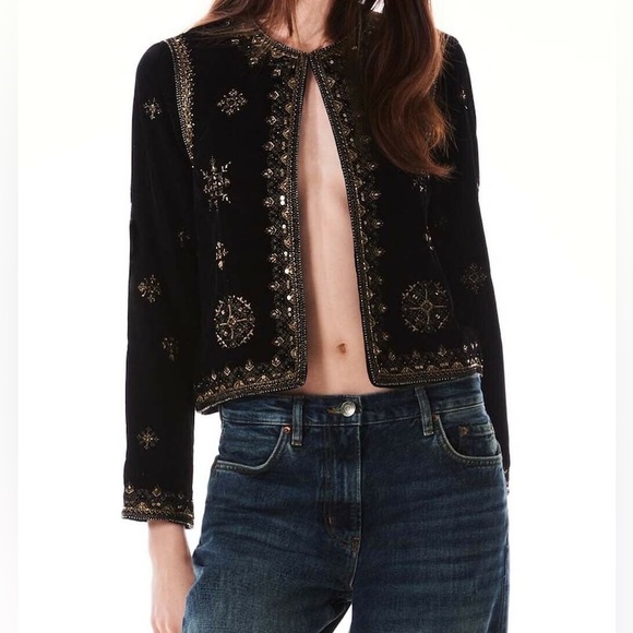 Zara Jackets & Blazers - NEW - Zara Embroidered Velvet Jacket - Size M